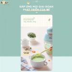 Máy xay ăn dặm 0 6L Bear GR-B06V1