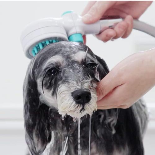 Vòi hoa sen Pets có nút dừng Takagi (JSB027GY)