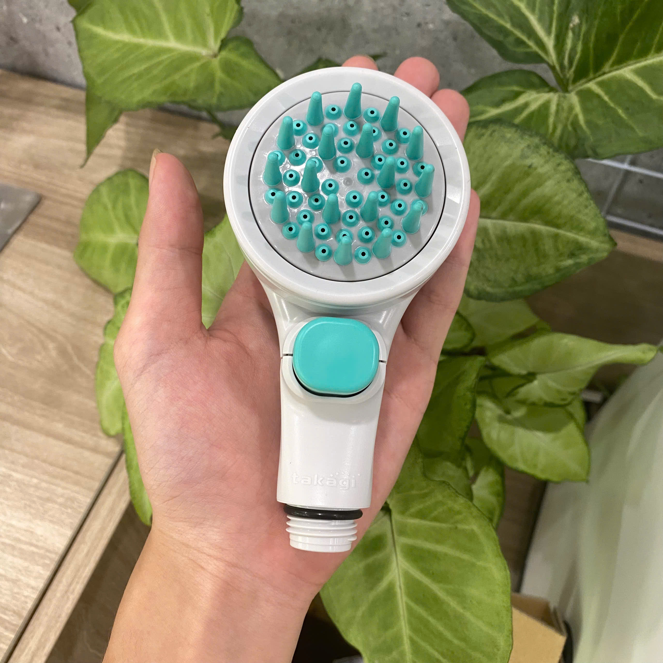 Vòi hoa sen Pets có nút dừng Takagi (JSB027GY)